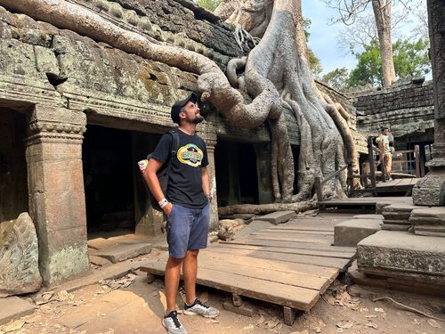 Ta Prohm, Angkor, Camboya